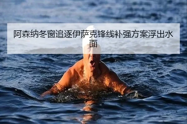 阿森纳冬窗追逐伊萨克锋线补强方案浮出水面